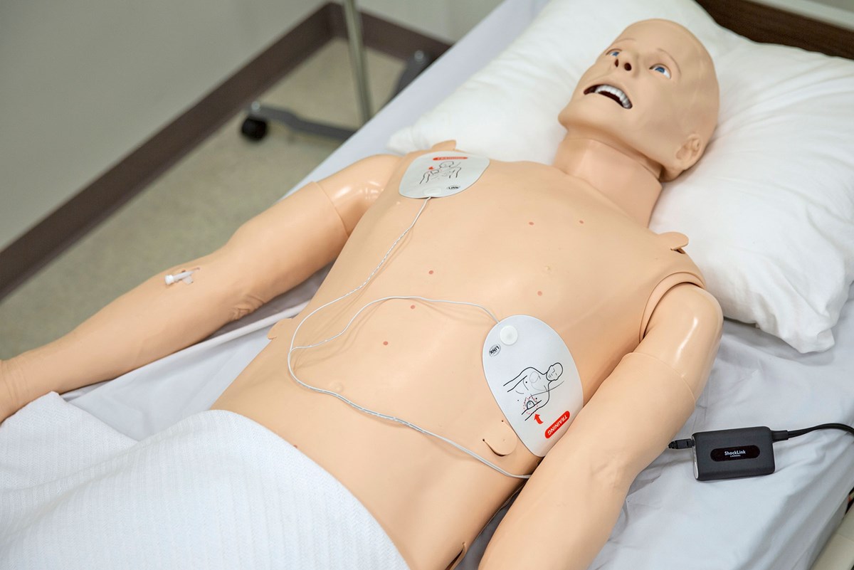 online plab 2 training uk