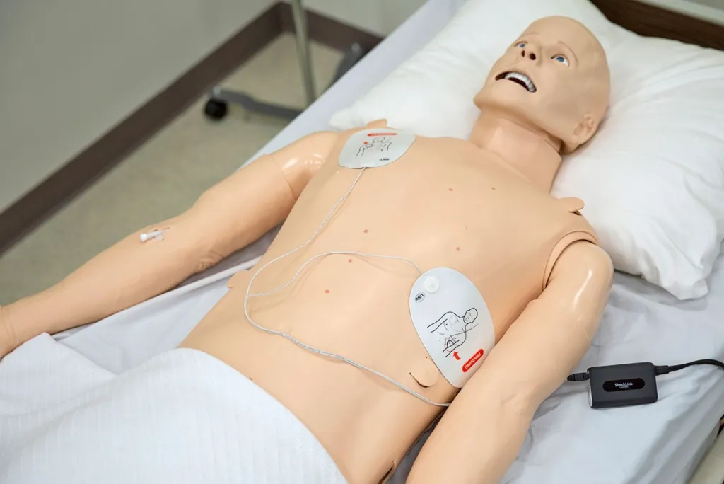 online plab 2 training uk